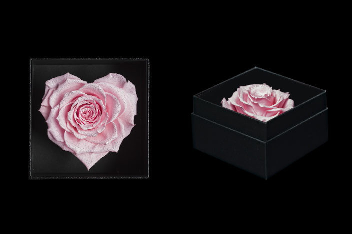 Royce Heart - Feminine Pink 鑽石保鮮玫瑰花 HK$1,280 Le Sean Seasons Florist網上訂購:https://www.leseanseas